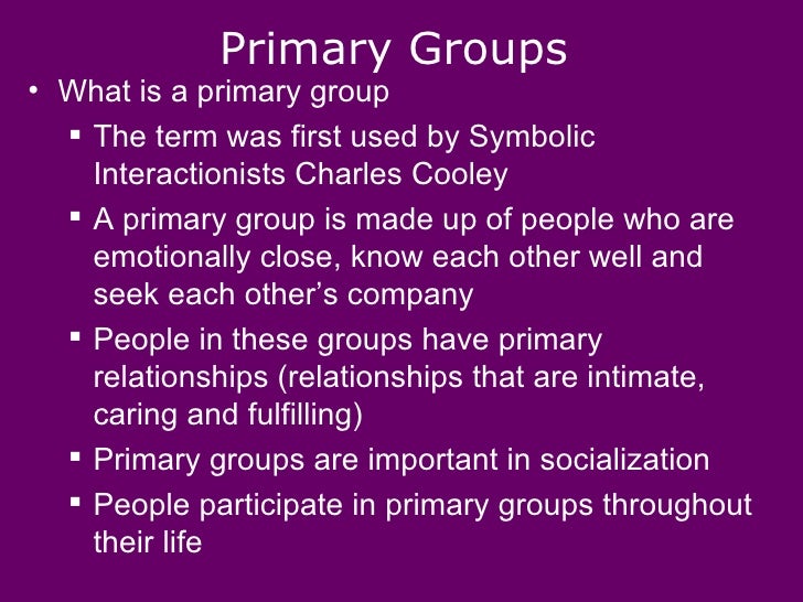 what is a primary and secondary group