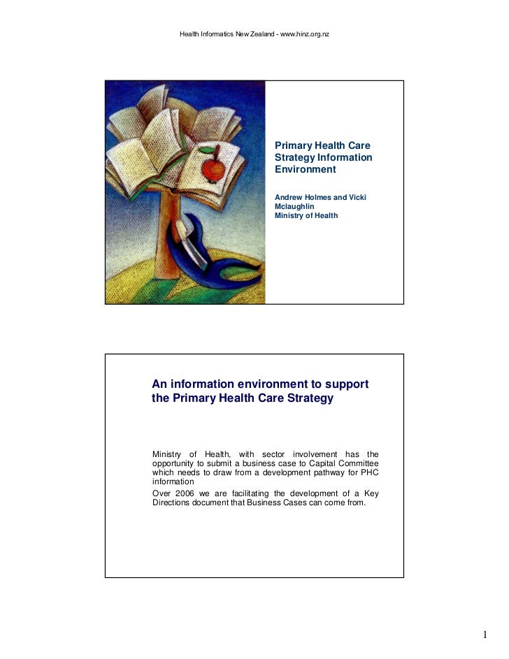 primary-health-care-strategy-information-environment-1-728