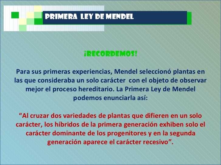 LEY DE MENDEL ley de mendel: