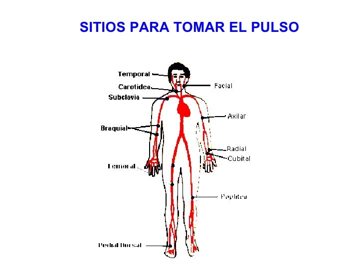 Primeros auxilios (copia)