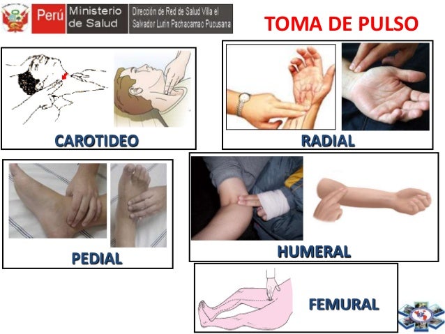 Pequeño el pecho hasta 15 años de la muchacha