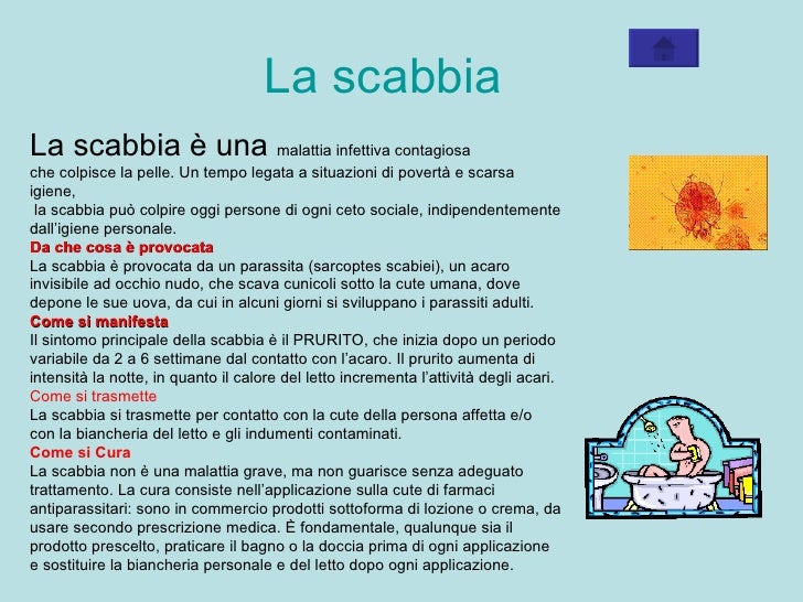 Segni di vermi di parassiti della persona e il loro trattamento