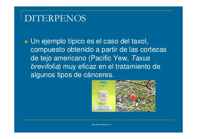 La psoriasis de la fase el tratamiento de la foto