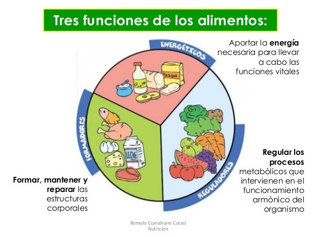 Principios basicos de alimentacion y nutricion 2014