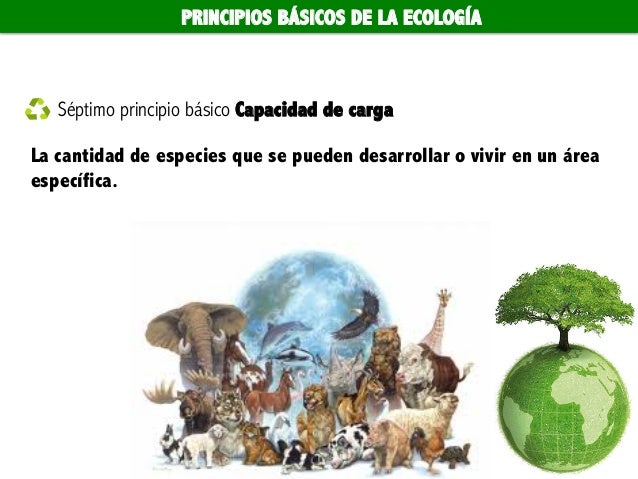 Principios y conceptos básicos de la ecología