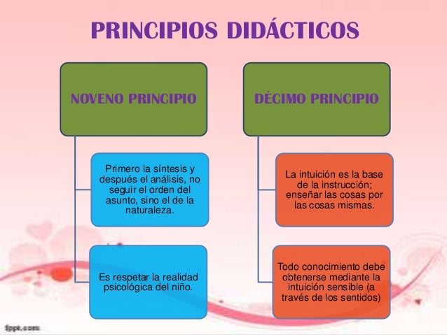 PRINCIPIOS DIDÁCTICOSNOVENO PRINCIPIO             DÉCIMO PRINCIPIO    Primero la síntesis y                               ...