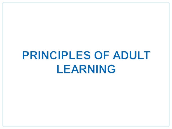 Learn About Adult 4