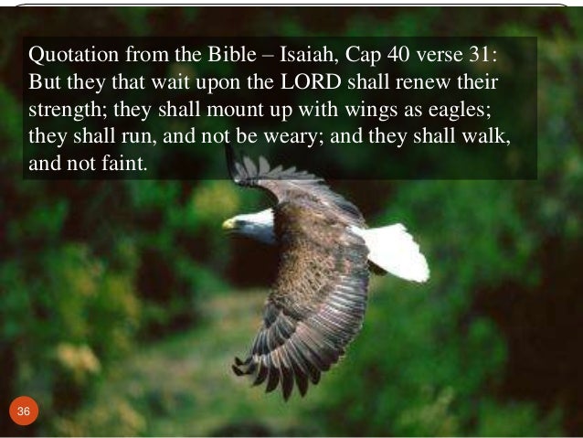 strength verse bible eagle of the Principles management eagle of life an change from