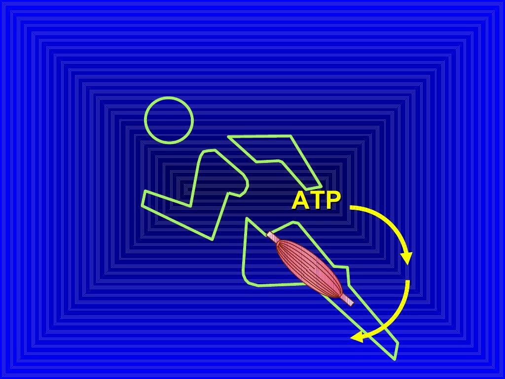 ATP 