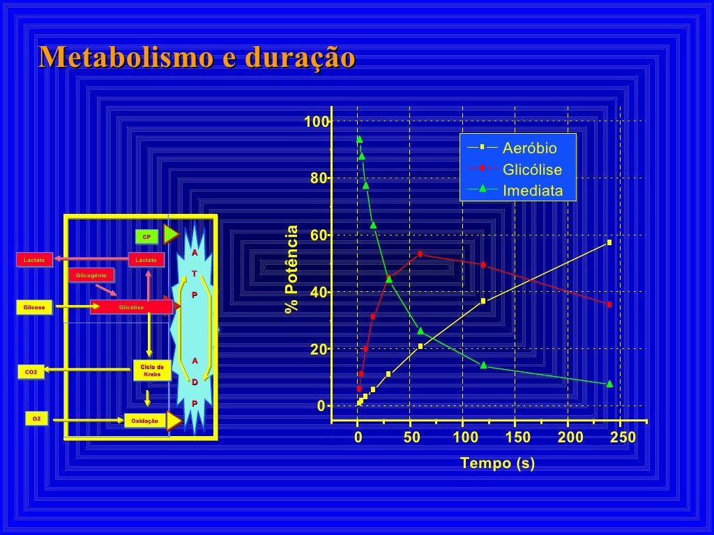Metabolismo e duração A T P A D P Glicogênio Glicólise Oxidação Ciclo de Krebs O2 CO2 Glicose CP Lactato Lactato 0 50 100 ...