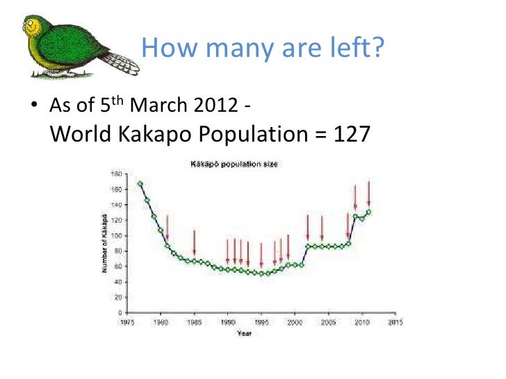 The NZ Kakapo researched by Prinisha Naidu
