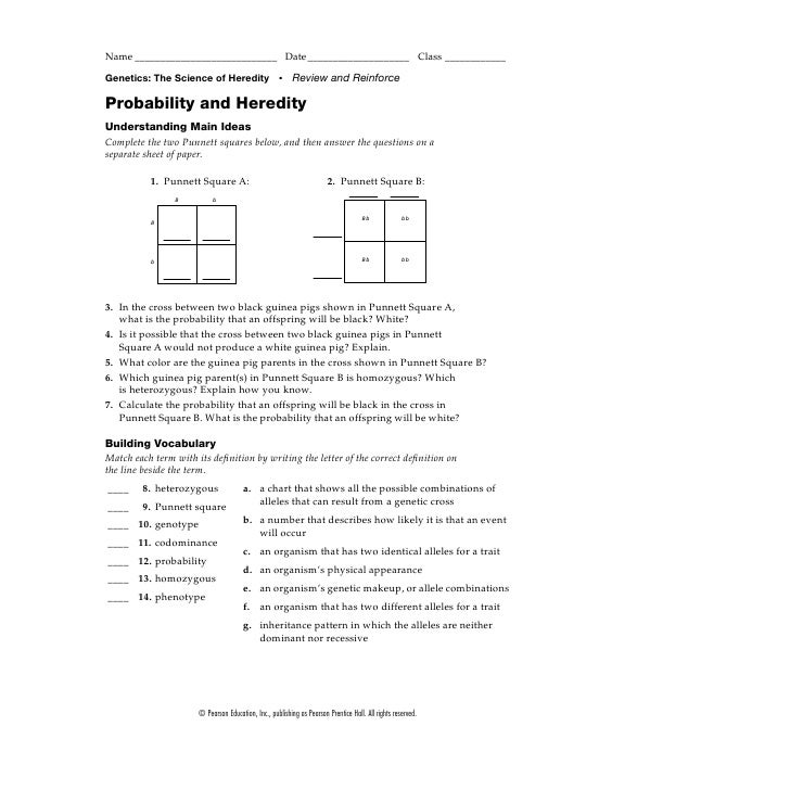 Probability And Heredity