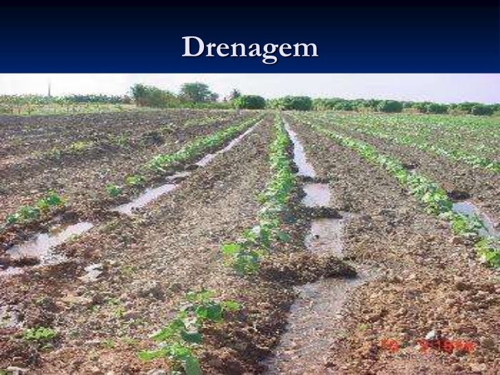 Qual A Diferença Entre Irrigação E Drenagem
