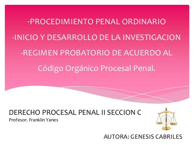 CODIGO PROCESAL PENAL DE VENEZUELA codigo procesal penal de venezuela:
