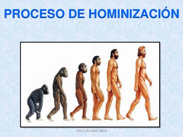 La máscara para el crecimiento de los cabello de la mostaza la receta