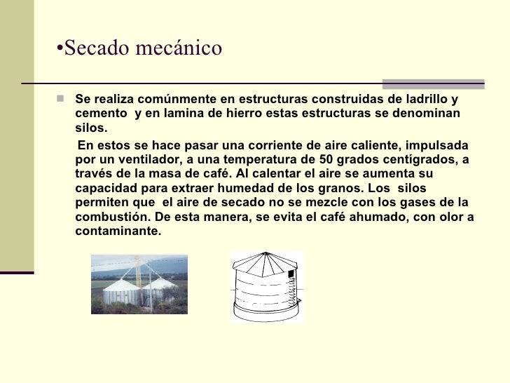 Siembra De Cafe Pdf Siembra De Cafe Pdf