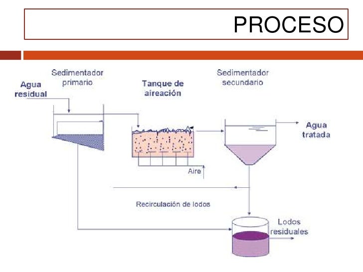 Proceso de lodos activados Proceso de lodos activados