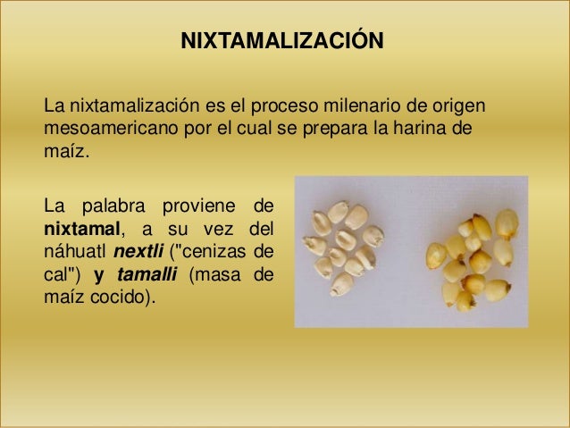 Proceso de nixtamalizacion y tratamiento del agua de nejayote