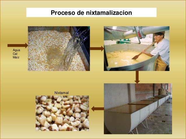 Proceso de nixtamalizacion y tratamiento del agua de nejayote
