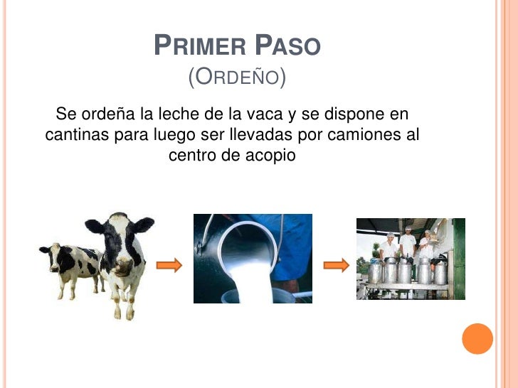 proceso de la leche Procesos de la leche, del queso y del yogurt. proceso de la leche Procesos de la leche, del queso y del yogurt.