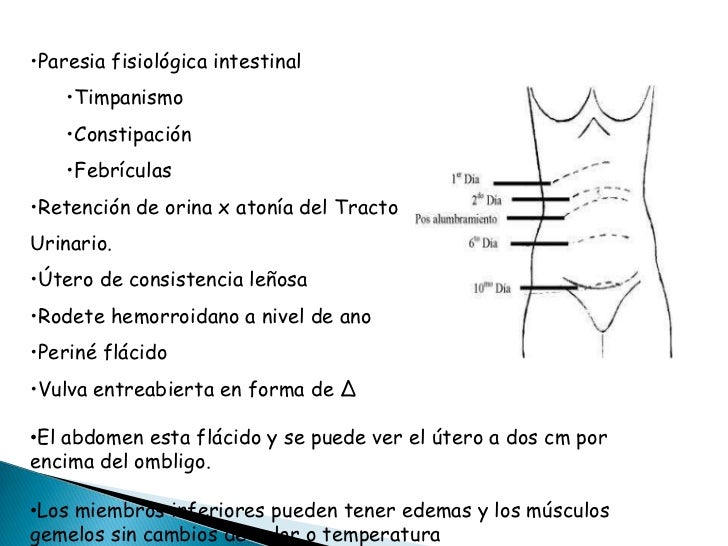 Cuidados de enfermería en el puerperio