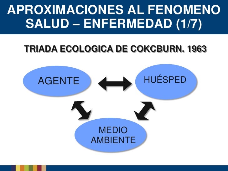 Proceso Salud Enfermedad Proceso Salud Enfermedad
