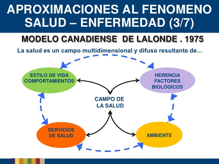 Etapas Salud Y Enfermedad Images