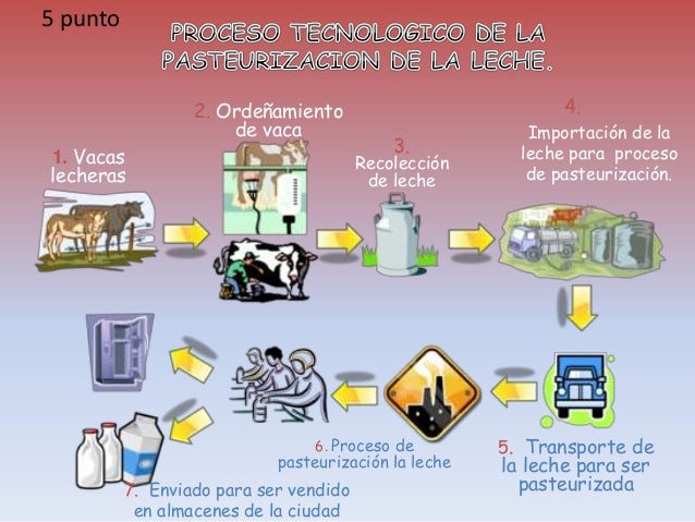COMO ES EL PROCESO DE LA LECHE como es el proceso de la leche:
