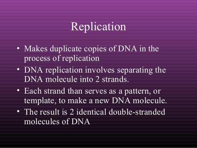 dna replication and protein synthesis venn diagram dna replication and protein synthesis dna replication and protein synthesis venn diagram dna replication and protein synthesis