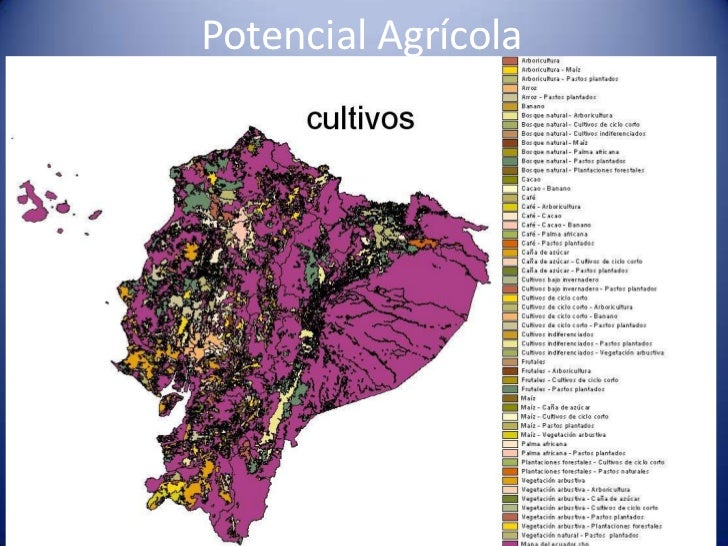 mapa productor agricolas ecuador mapa productor agricolas ecuador