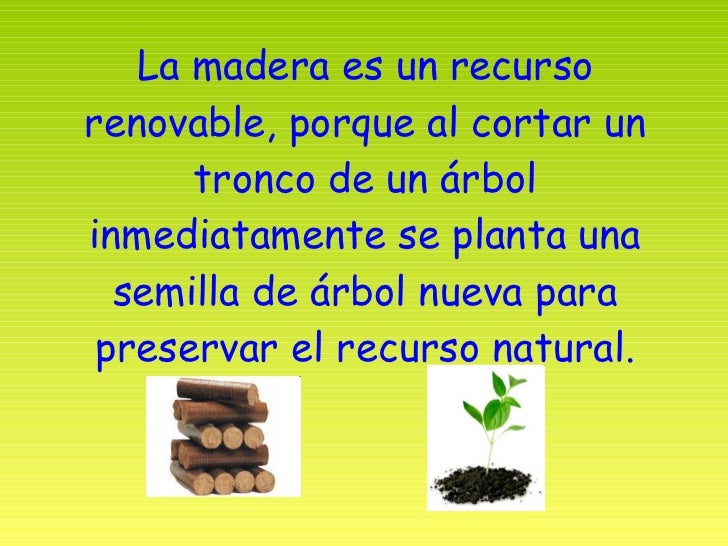 La Madera Es Un Recurso Renovable