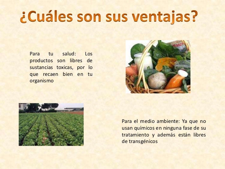 ¿Cuáles son sus ventajas?<br />Para tu salud: Los productos son libres de sustancias toxicas, por lo que recaen bien en tu...