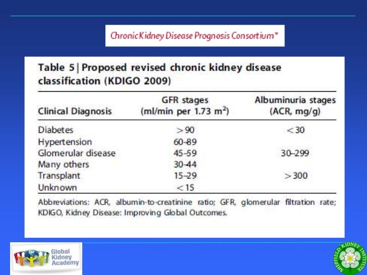 Kidney Failure Gfr 15