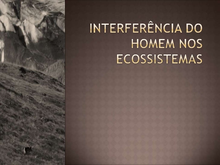 O Homem Pode Modificar Os Ecossistemas Como