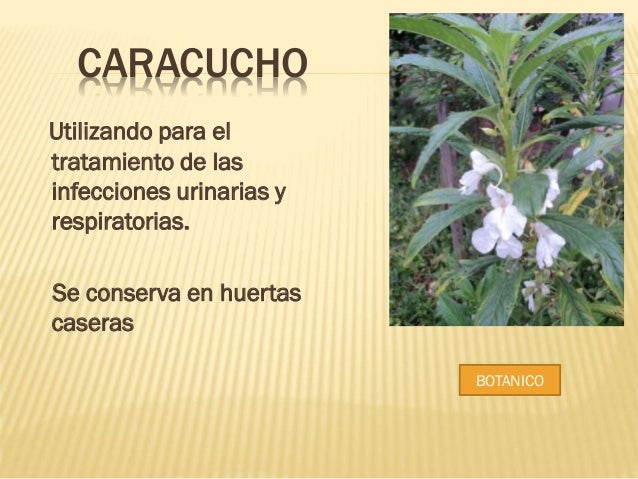 El dolor constante en los pies a la osteocondrosis lumbar