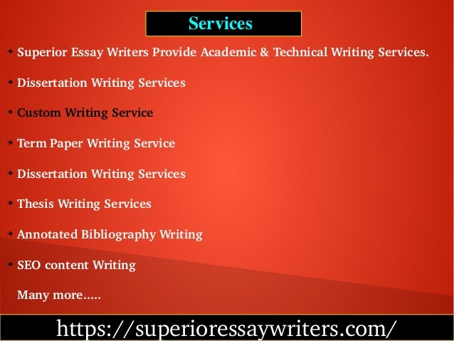 Professional Essay Writers