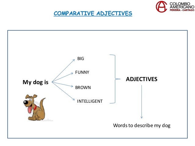 adjectives for dogs course 6 unit 8 comparative adjectives adjectives for dogs course 6 unit 8 comparative adjectives