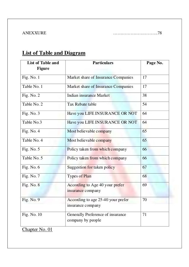 Essay Program