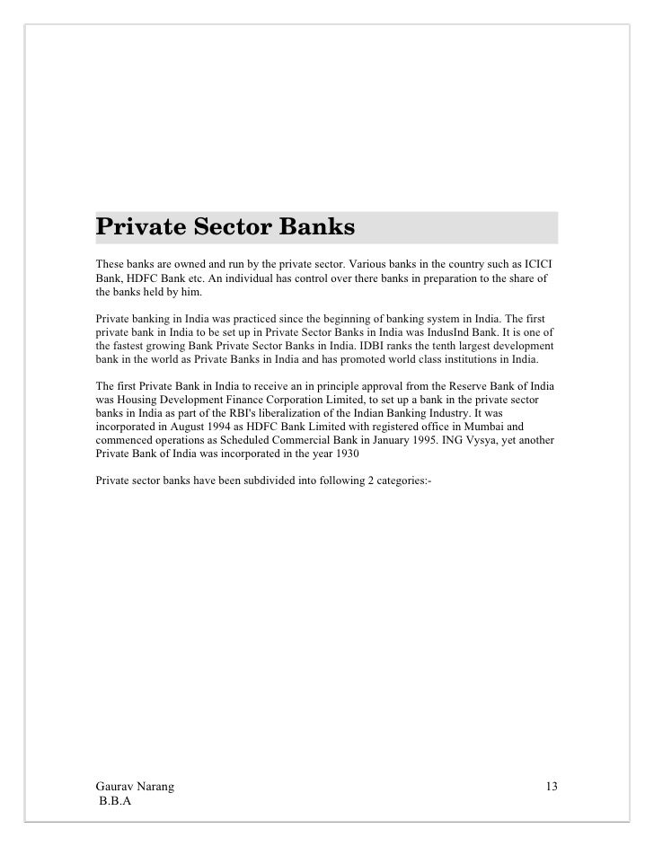 project report for bank loan pdf