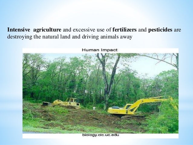 essays on human impacts essays on human impacts