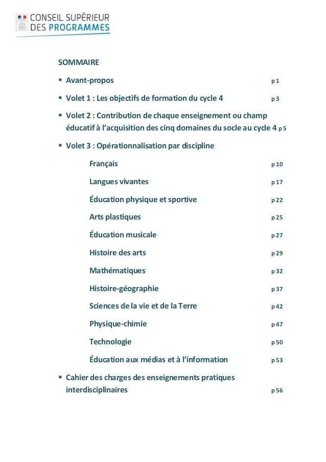 Le tapis avec les piquants pour le traitement du dos