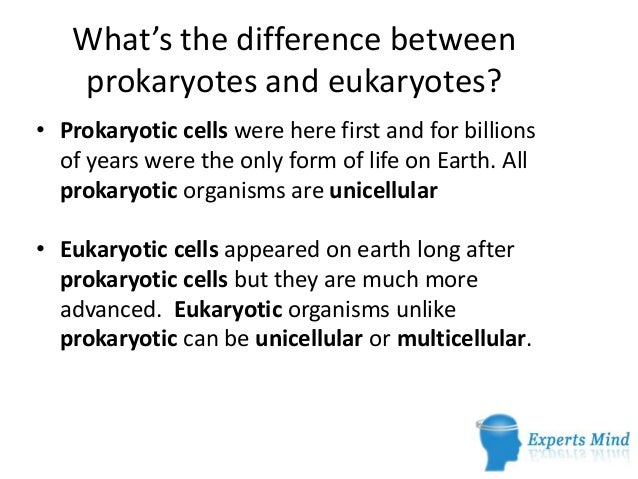 What39s The Difference Between Prokaryotic And Eukaryotic Cells Topic