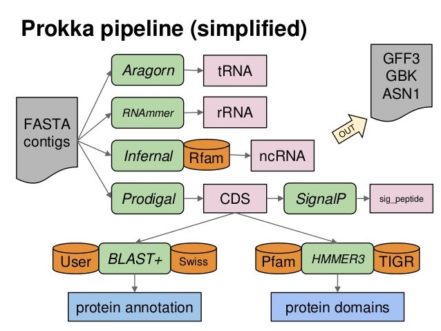 Annotation avec Prokka, slide du Dr Seemann