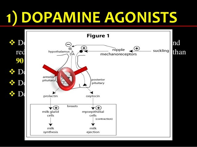 bromocriptine 2.5 mg day