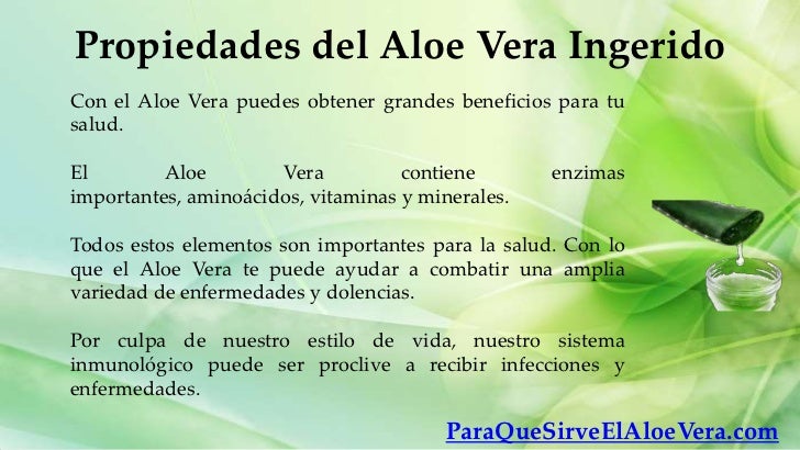 Propiedades del aloe vera ingerido Propiedades del aloe vera ingerido