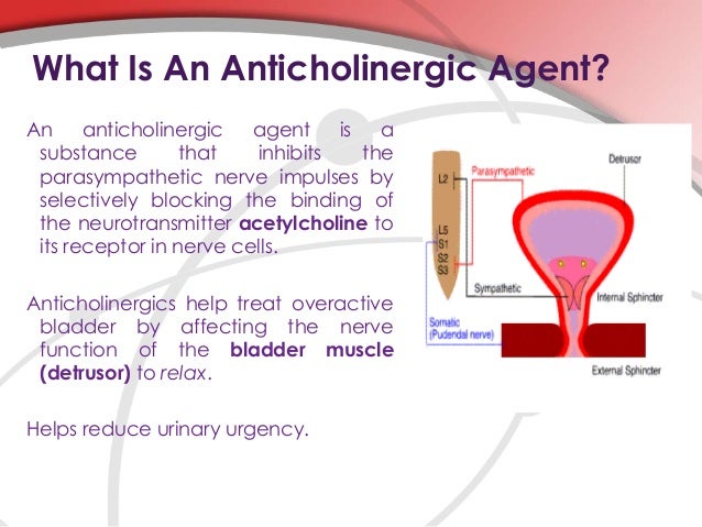 Anticholinergics And Antispasmodics (Oral Route ...