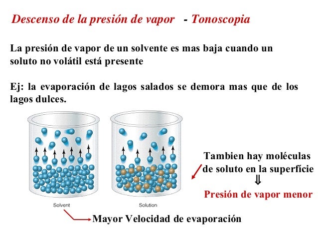 Propriedades coligativas