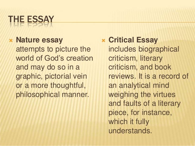 Essay on child development