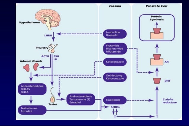 glucophage 500 for pcos