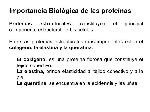 Prote 1